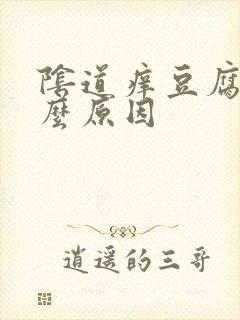 阴道痒豆腐渣什么原因