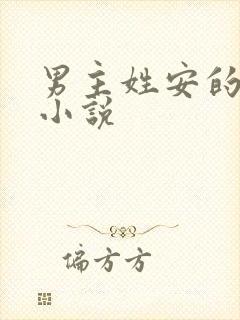 男主姓安的穿越小说