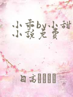 小乖by小甜梨小说免费