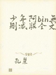 少年阿bin无删减版全文阅读