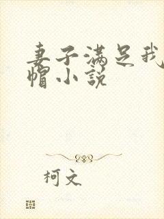 妻子满足我的绿帽小说