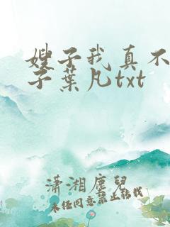 嫂子我真不是傻子叶凡txt