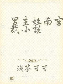 男主姓南宫的总裁小说