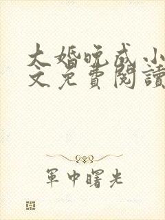 大婚晚成小说全文免费阅读