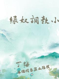 绿奴调教小说