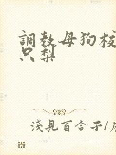 调教母狗校花一只梨