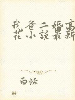 我爸二婚高冷校花小说最新章节列表