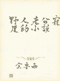 野人老公宠妻无度的小说