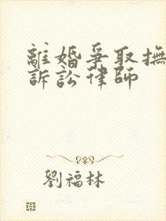 离婚争取抚养权诉讼律师