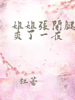 姐姐张开腿让我爽了一夜