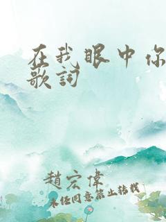 在我眼中你是谁歌词
