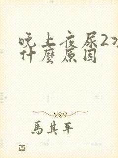 晚上夜尿2次是什么原因