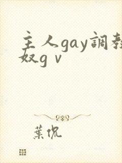 主人gay调教奴gⅴ