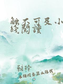 触不可及小说在线阅读