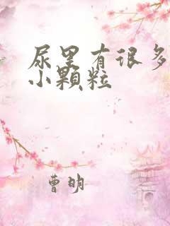 尿里有很多透明小颗粒