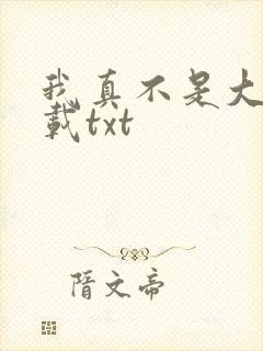 我真不是大佬下载txt
