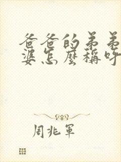 爸爸的弟弟的老婆怎么称呼