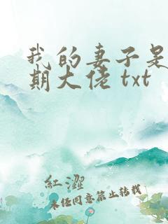 我的妻子是大乘期大佬 txt