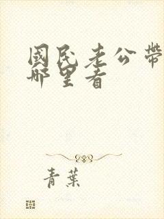 国民老公带回家哪里看