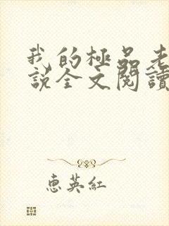 我的极品老婆小说全文阅读免费