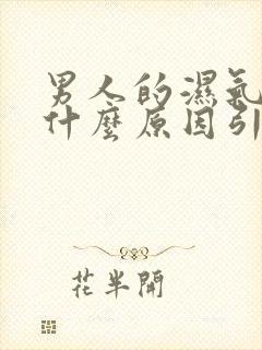 男人的湿气重是什么原因引起的