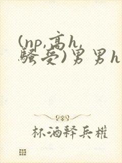 (np,高h,骚受)男男h