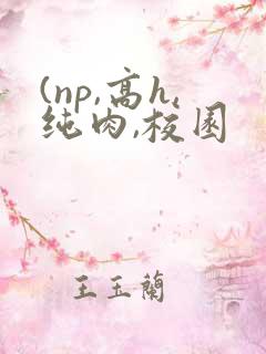 (np,高h,纯肉,校园