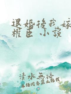 退婚后我嫁给了权臣 小说