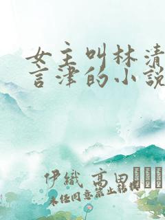 女主叫林清妍宋言津的小说免费阅读