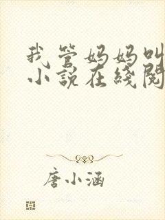 我管妈妈叫女儿小说在线阅读