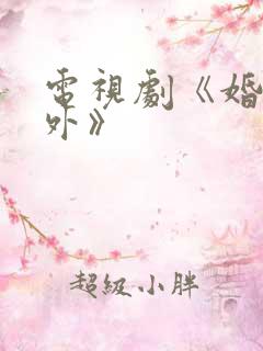 电视剧《婚里婚外》