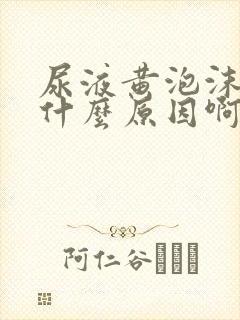 尿液黄泡沫多是什么原因啊