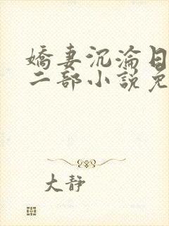 娇妻沉沦日记第二部小说免费阅读