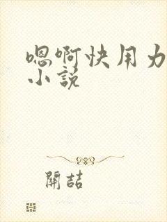 嗯啊快用力高h小说