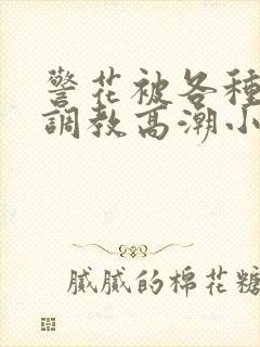 警花被各种刑具调教高潮小说