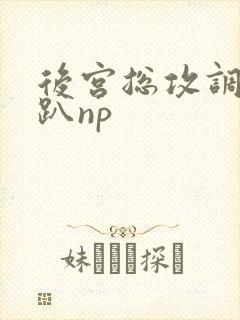 后宫总攻调教跪趴np