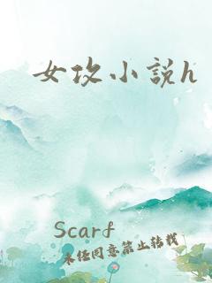 女攻小说h