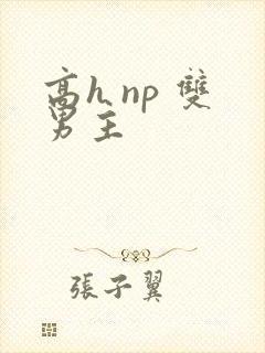 高h np 双男主