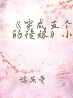 《穿成五个反派的后娘》小说