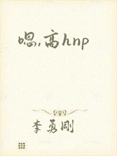 嗯,高hnp