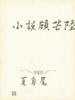 小说顾芒陆承洲