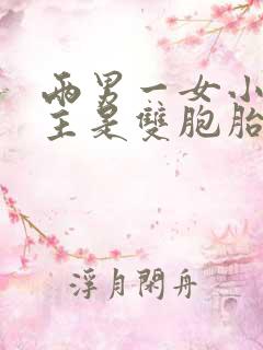 两男一女小说男主是双胞胎