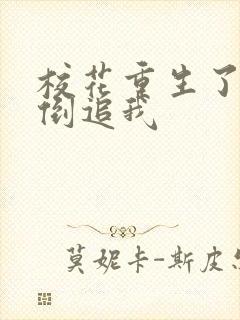 校花重生了疯狂倒追我