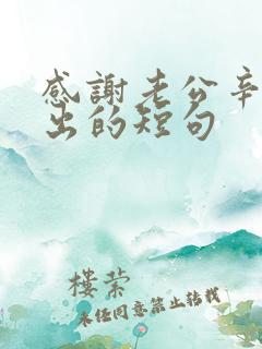 感谢老公辛苦付出的短句