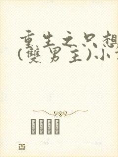 重生之只想宠你(双男主)小说