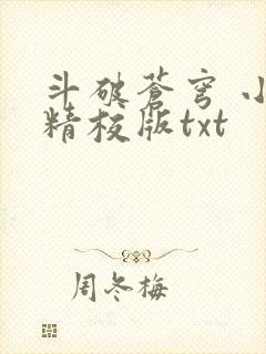 斗破苍穹 小说精校版txt