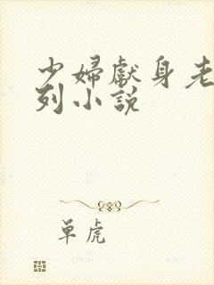 少妇献身老头系列小说