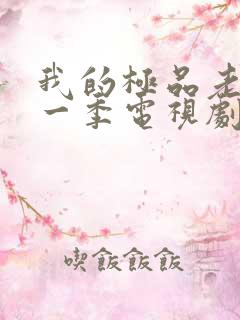 我的极品老婆第一季电视剧免费观看