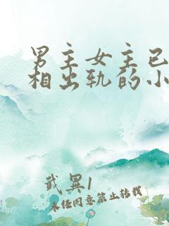 男主女主已婚互相出轨的小说