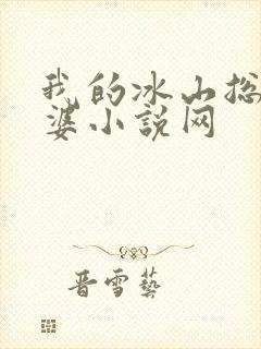 我的冰山总裁老婆小说网